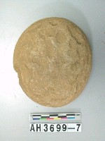 藏品(圓盤形石核)的圖片